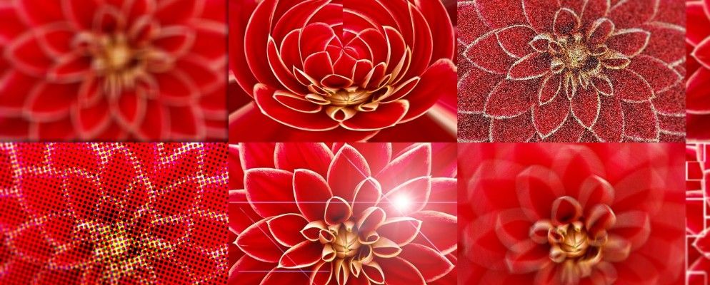 Photoshop滤镜及其作用的快速指南