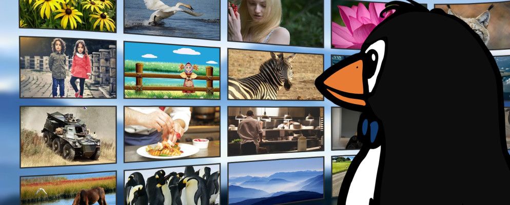 Linux上视频流服务的当前状态