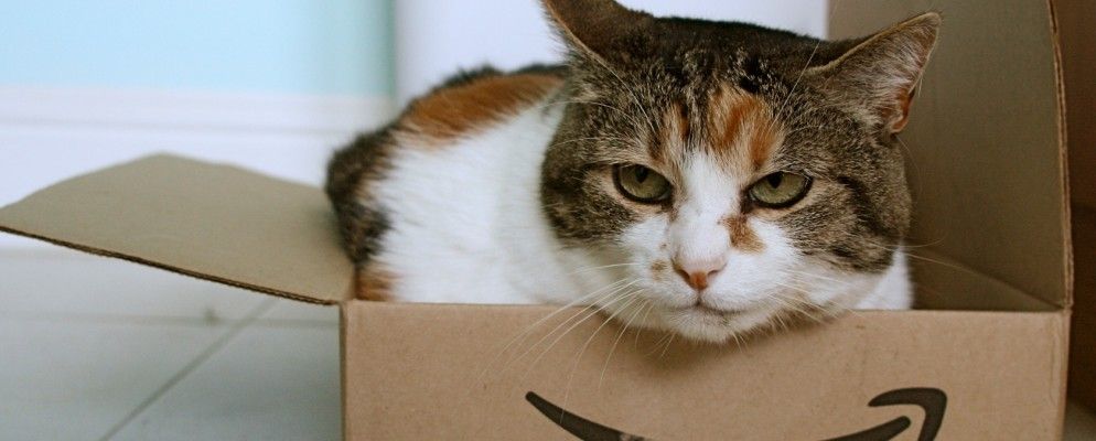 亚马逊热爱砖石和砂浆，特朗普打败了输家……[科技新闻摘要]