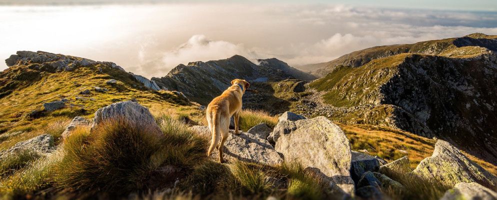 厌倦了平面照片？通过这6个技巧增加深度感