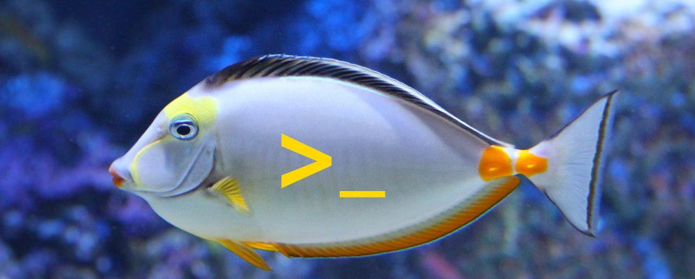 安装鱼壳的7个理由