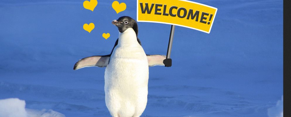 Linux对于新手来说比Windows更受欢迎的6种方式