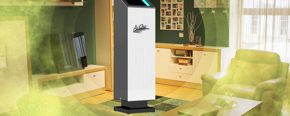 可以提高室内空气质量并保持健康的4种小工具