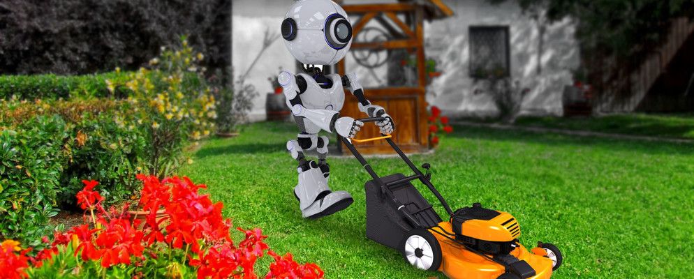 春季自动进行园艺的7种怪异方法