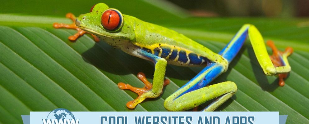 5个为您的PC,手机或平板电脑带来自然世界的网站