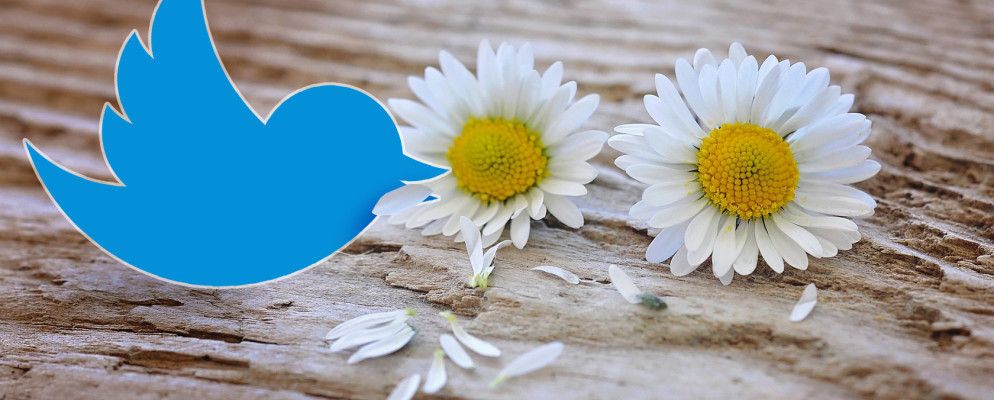 为什么算法更改将成为Twitter的死因