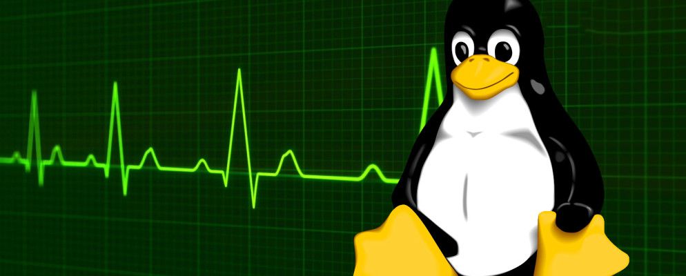 如何在Linux中杀死程序并检查系统信息
