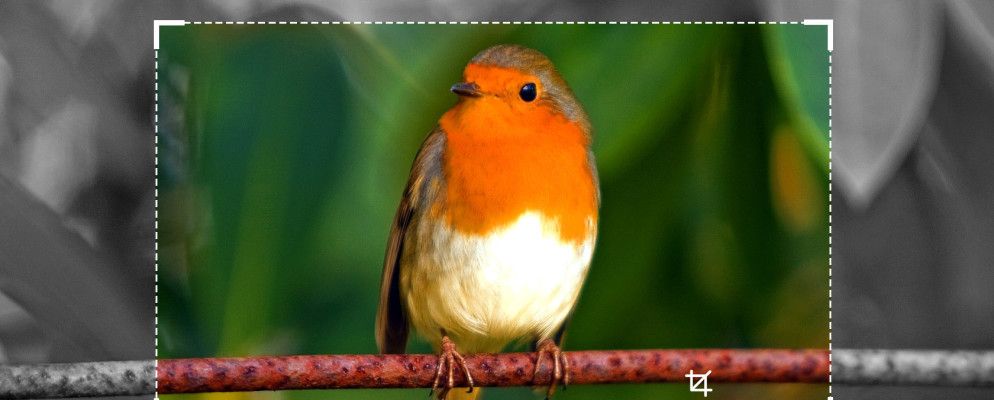 10个免费的在线批处理图像工具,用于调整大小,转换和优化