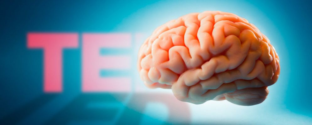 十一场精彩的TED演讲，阐述了您的大脑如何运作