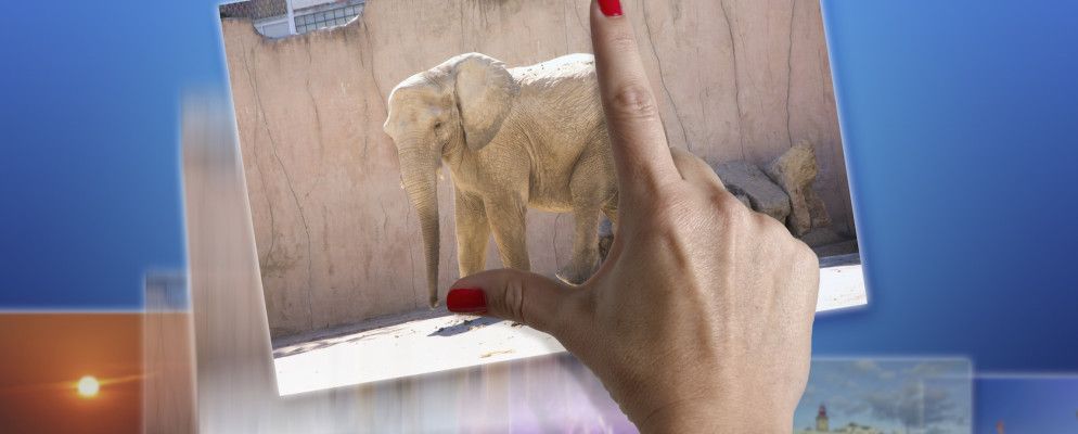 如何在Photoshop中轻松批量调整图像大小