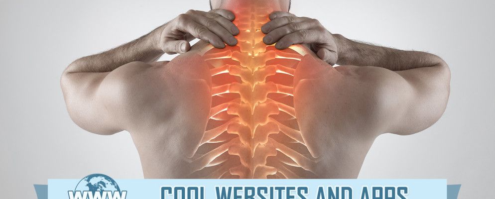 5种缓解腰痛或锻炼单个肌肉的工具