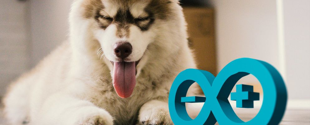 这些由Arduino驱动的项目可宠爱您的宠物