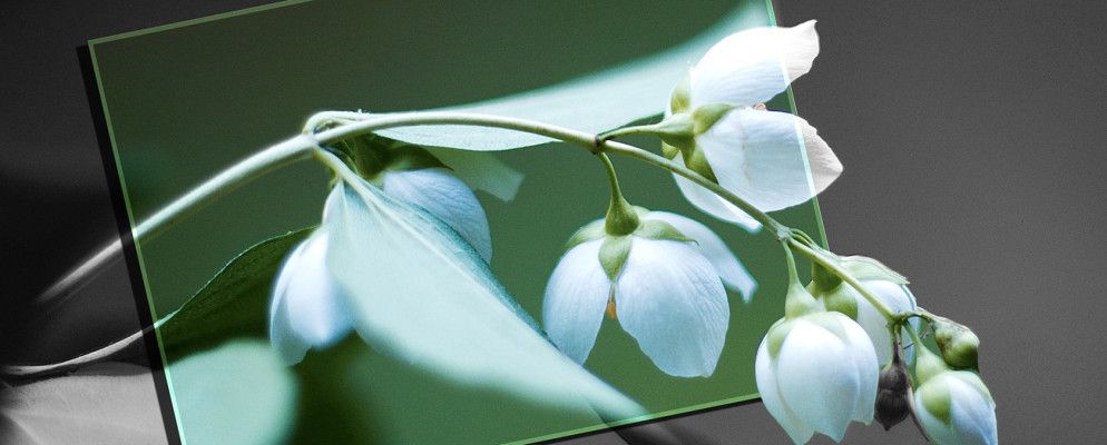 如何一键为黑白照片上色