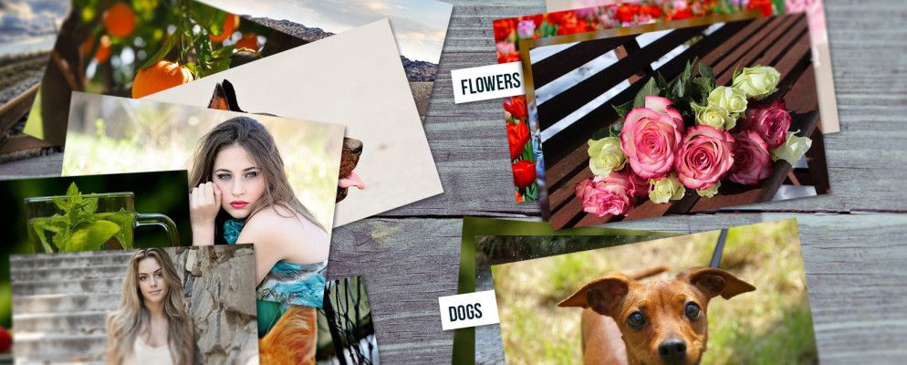 您应该如何组织照片?尝试以下5种方法之一