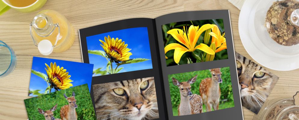 这6张独特的相簿让您的数码照片脱颖而出