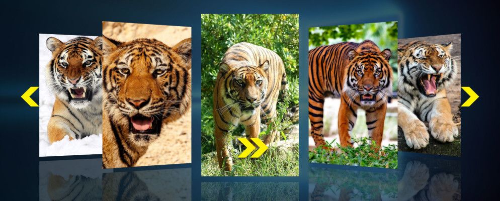 如何在Windows中制作幻灯片