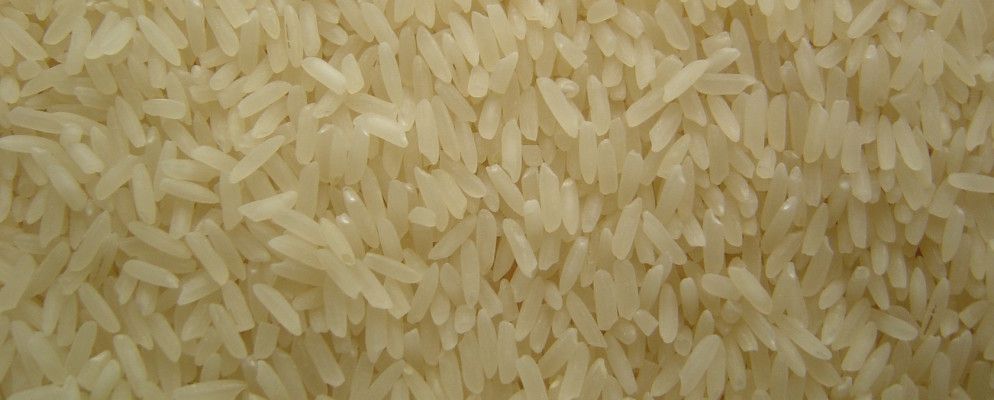 玩这个琐事游戏并帮助消除世界饥饿