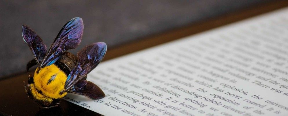 如何为Kindle电子书取钱