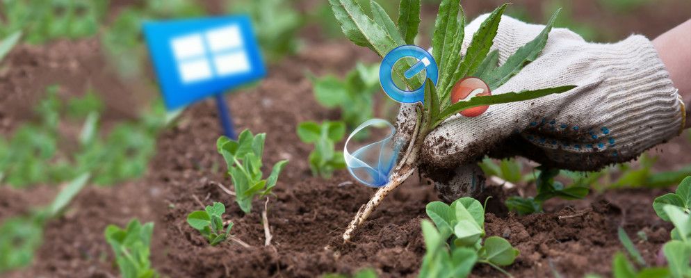 您应该卸载的12个不必要的Windows程序和应用程序