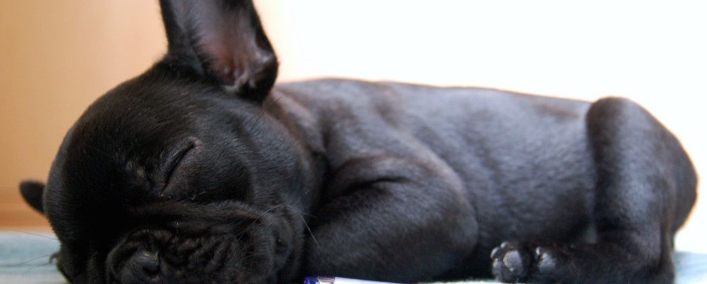 该播客可帮助您睡着真棒的睡前故事