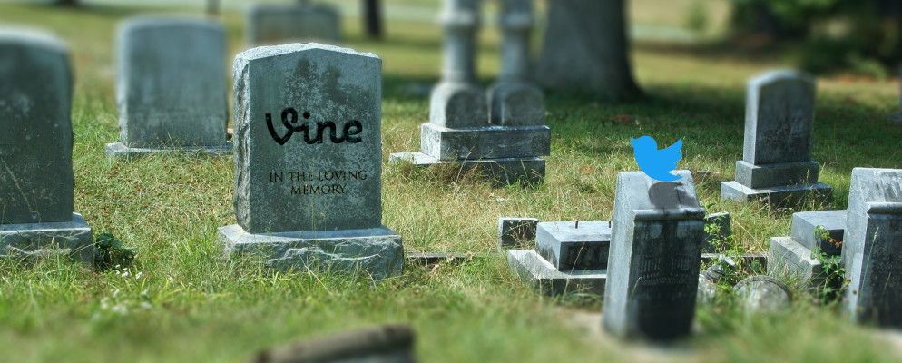 Twitter杀死了葡萄藤:这里是去的地方