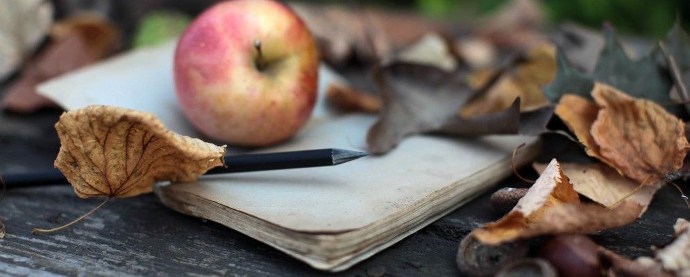 如何将Apple Notes用作研究工具