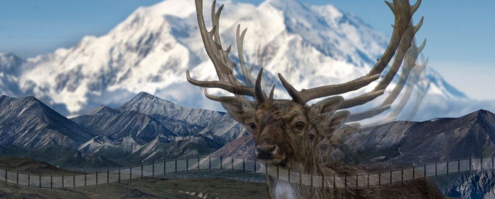 制作令人惊叹的动态影像,与世界分享