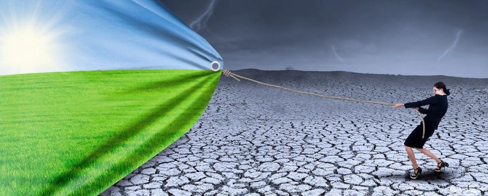 外包墙纸以创建出色的动态桌面