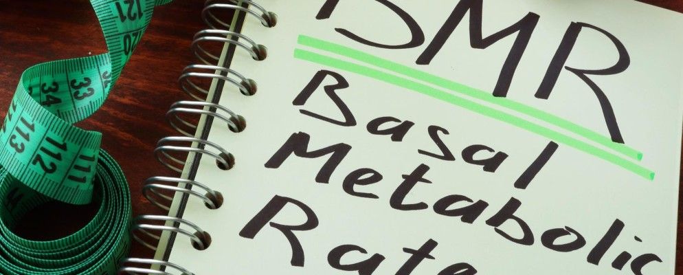 查看您的身体每天自然燃烧多少卡路里