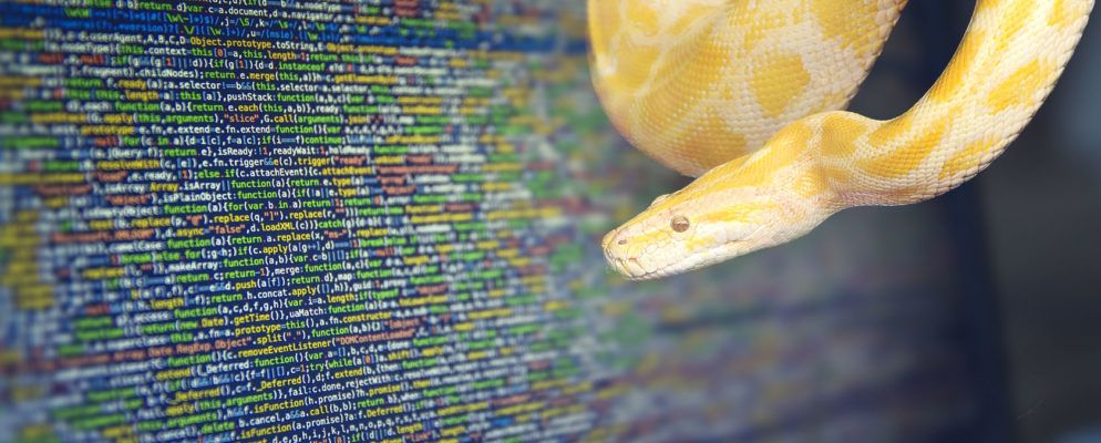 如何获取Python和JavaScript以使用JSON进行通信