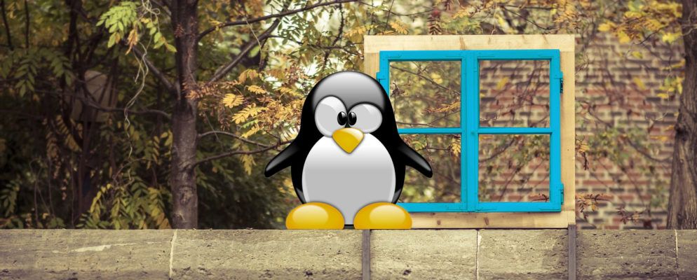 从Windows轻松切换到Linux的5条提示