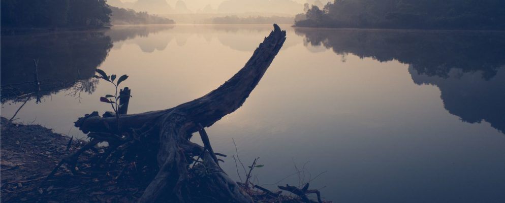 从标志性的电影和电视节目中学习照片构图技巧