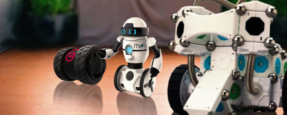 您需要看到的10个家用机器人