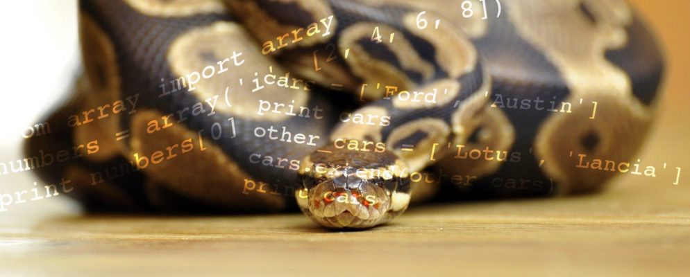 数组和列表在Python中的工作方式