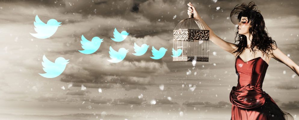 使用这些出色的Twitter工具来管理您的Feed