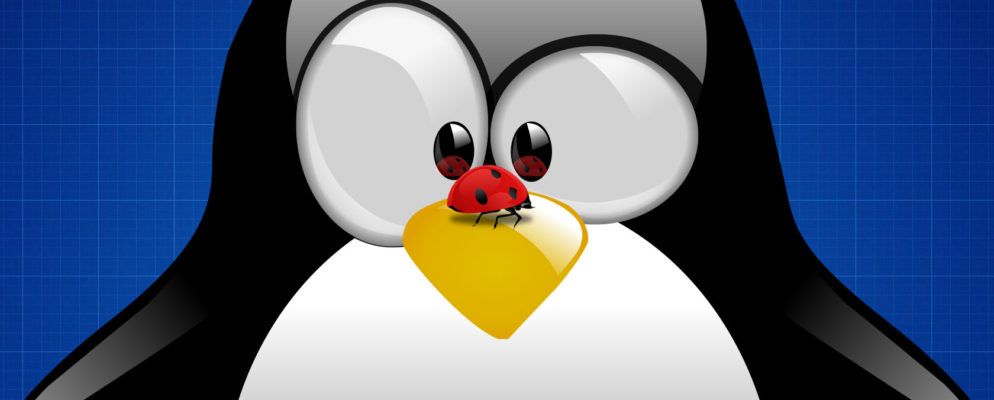 您的最爱Linux OS被错误困扰的6个原因