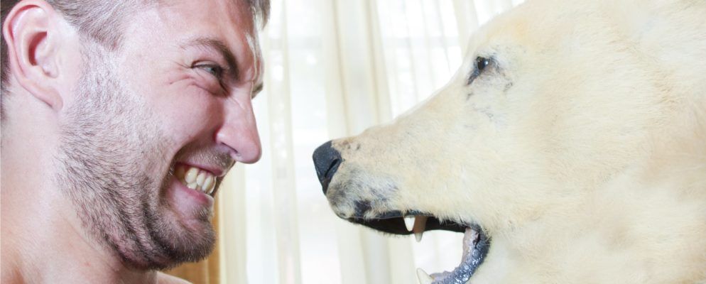 您与动物:比较力量,速度,大小等