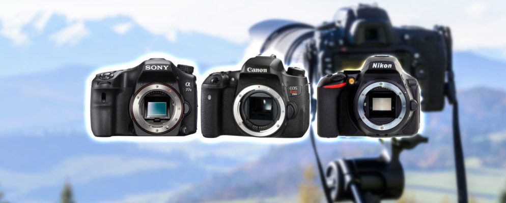 2017年最物超所值的数码单反相机