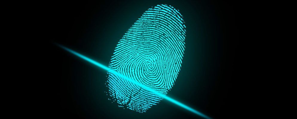 您的浏览器有指纹并且可以在线跟踪