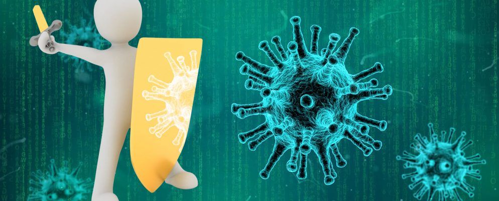 可以用来帮助打击勒索软件的12种工具