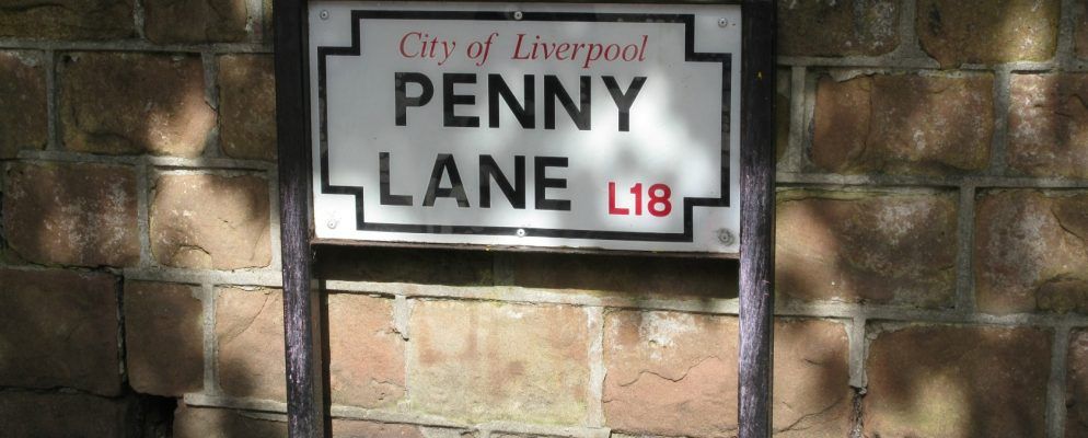 使用Google地球了解有关甲壳虫的更多信息