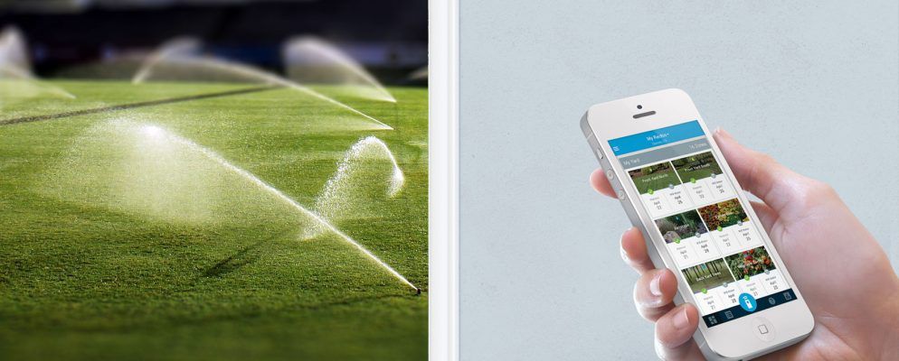 使用Rachio智能洒水控制器节省金钱和水