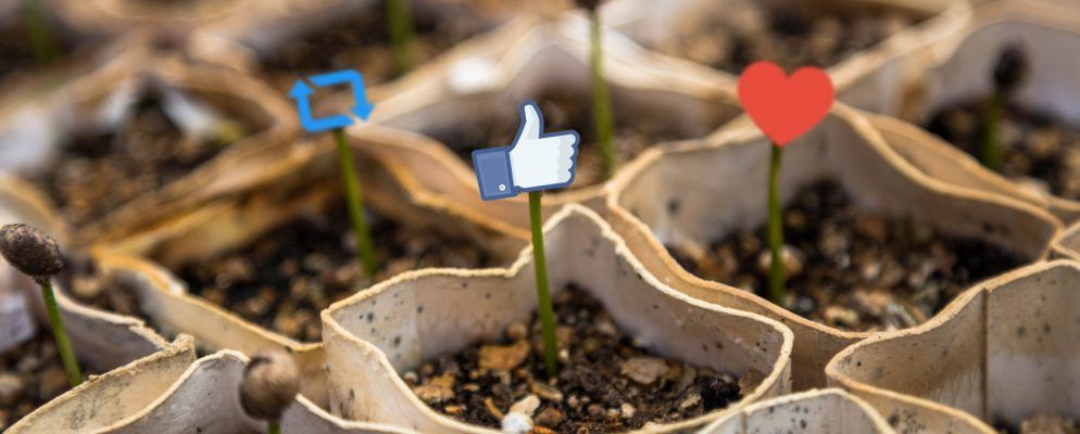 创建难以置信的可共享社交媒体图像的10种工具