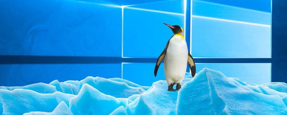 Windows与Linux：这是它们的共同点