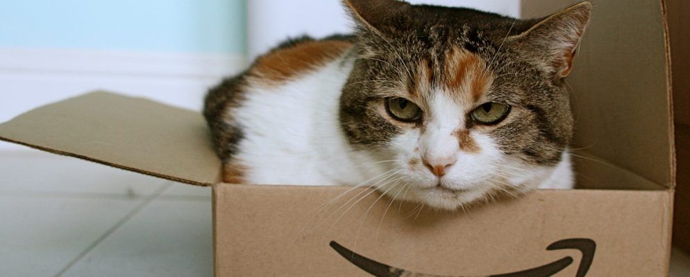 如果您在享受福利,请更便宜地购买Amazon Prime