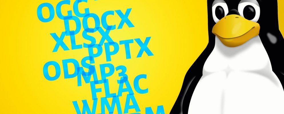 Linux应该使用哪种文件格式?