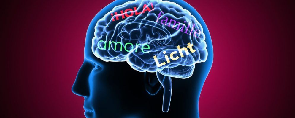 每天5分钟学习6种新语言的简便方法