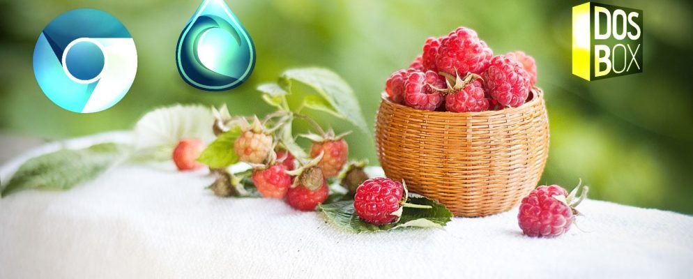 您应该在Raspberry Pi上安装的十大应用程序