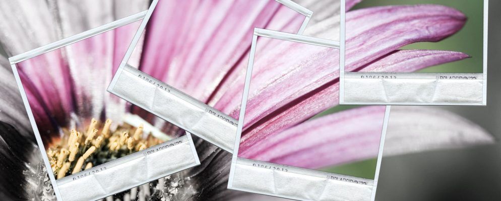 如何使用EXIF元数据还原恢复的照片