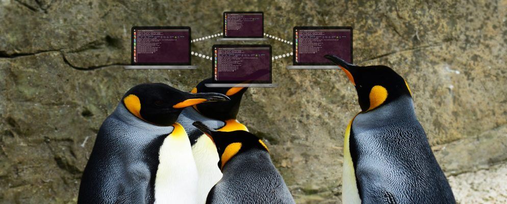 5个Linux终端的联网命令